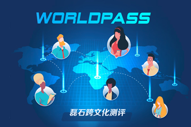 磊石跨文化測評系統開發